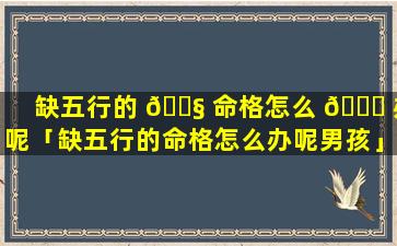 缺五行的 🐧 命格怎么 💐 办呢「缺五行的命格怎么办呢男孩」